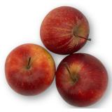 Apfel Idared