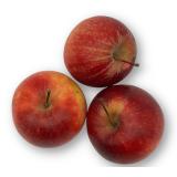 Apfel Delbar Estival