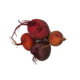 Rote/ Bunte Bete