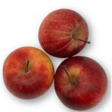 Apfel Jonagored