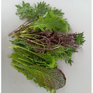 Asia Salat im Bund ca.150g