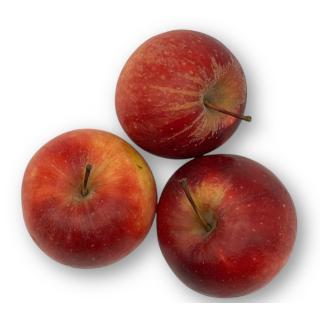 Apfel Delbar Estival