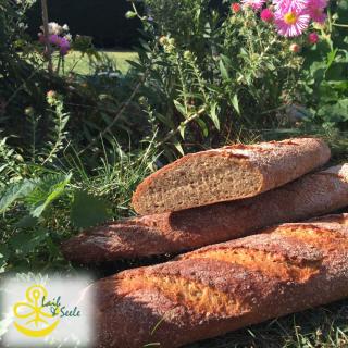 Dinkel Vollkorn Baguette