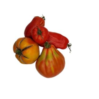 Tomaten Spezialitäten