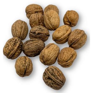 Walnüsse