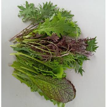 Asia Salat im Bund ca.150g