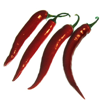 Chili