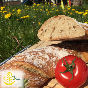 Wurzelbrot natur