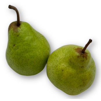 Birne Alexander Lukas