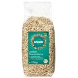 Sonnenblumenkerne Europa